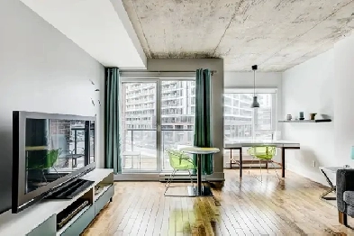 Appartement à louer Griffintown Image# 2