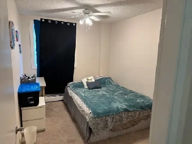 Roommate Wanted  1100 sq feet Image# 8