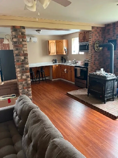 1 bedroom very spacious and bright available for June 1 Image# 5