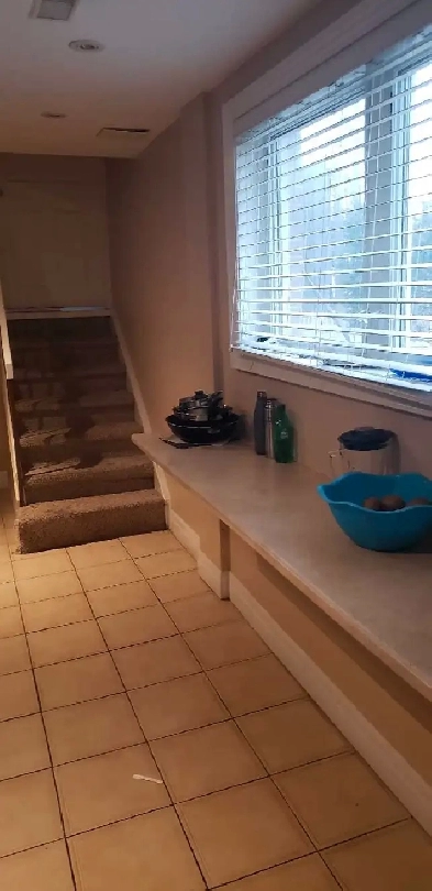 Basement for Rent Image# 1