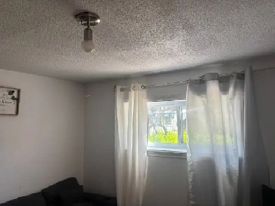 Appartement 3 1/2 à louer à partir du 1er juillet 2025 Image# 3