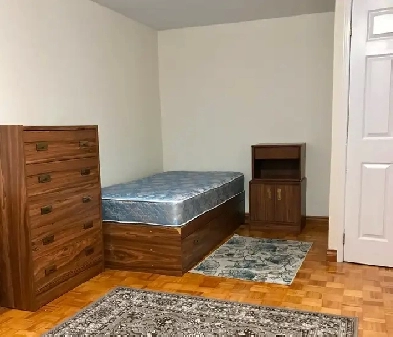 Bright, spacious bachelor suite Image# 2
