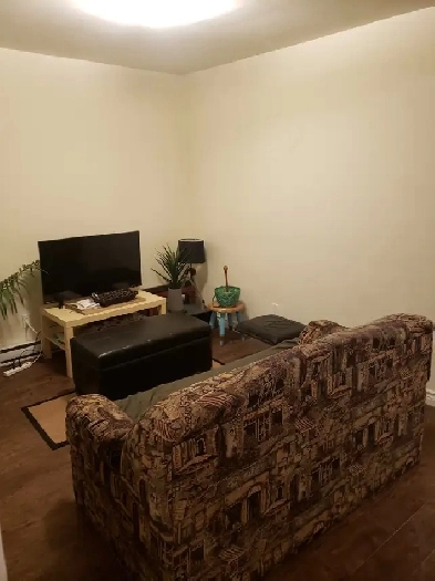 2 Bedroom, Fully Furnished Apartment for Rent Image# 2
