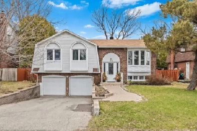 house for rent Image# 11