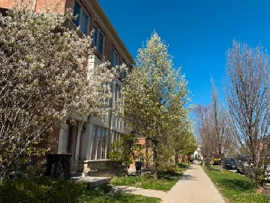 MODERN TOWN HOUSE NEAR SUBWAY AND BEACHES FOR RENT Image# 9