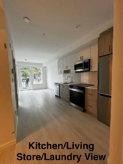 Apartment for rent Image# 3
