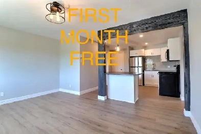 2 Bed 1 Bath Apartment for Rent Image# 6