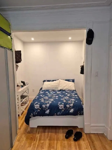 beau grand 2 et demi ou petit 3 et demi sur le Plateau M-R... Image# 1