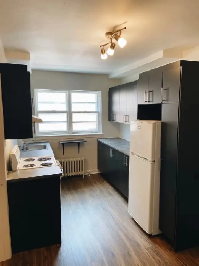 4 1/2 À LOUER, CÔTE DES NEIGES, UdeM, 1ER JUIN/JUILLET Image# 1