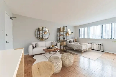 Pleasant Manor - Studio Apartment for Rent Image# 3