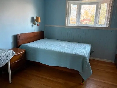 Room near Algonquin College-available now Image# 2