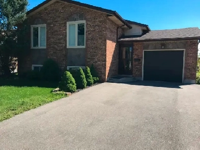 Raised Basement Apartment - Hydro & Utilities Included Image# 1