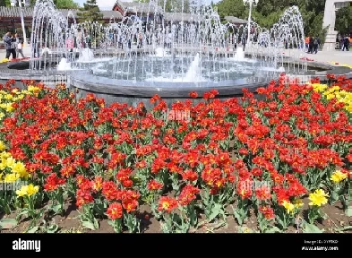 All Included Furnished Room for Rent for Female Student/Working Image# 1