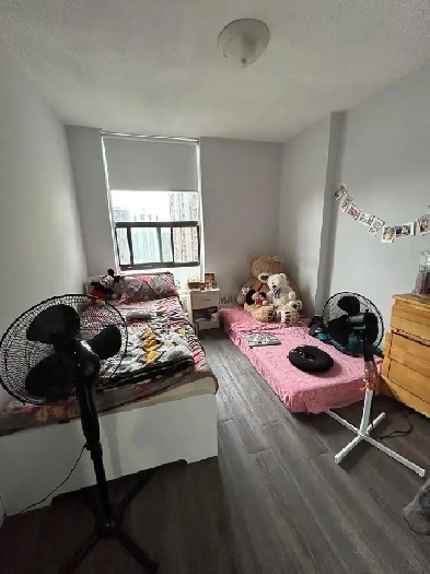 Sharing Room for Girl available Image# 1