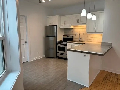 Rosemont-La-Petite-Patrie, 3 1/2 rénové/renovated Image# 1