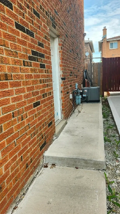 1 bedroom basement Image# 1