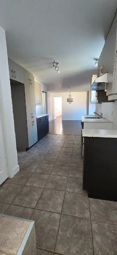 Bachelor 3 1/2 à louer Image# 1