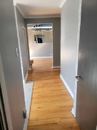 Beau 3 1/2 a louer...lease transfert Image# 1