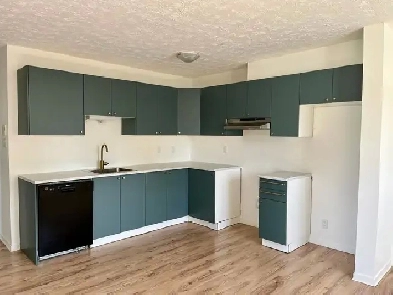 Appartement 4 ½ à louer – Disponible dès le 1er juillet ! Image# 14