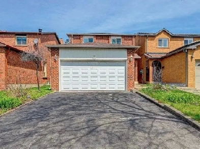 Steels Ave E /Kennedy Rd  2 BR/ full Bth Renovated  Basement Image# 1