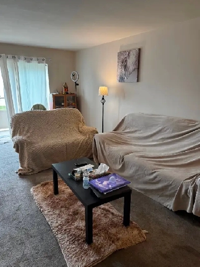 1 BHK – Shared Accommodation for Girls –near fairview mall Image# 1