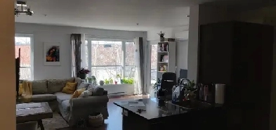 Sunny spacious 2-bedroom condo in St Henri - July 1 Image# 3