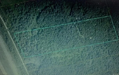 12 Acres of Hwy 2 Camp Lot Memramcook Image# 1