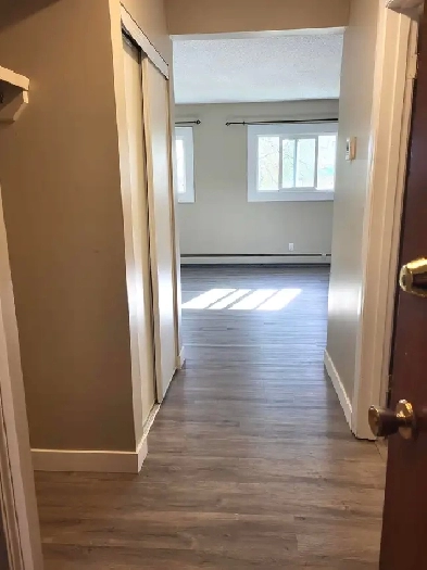 $995/Month Bright, Spacious Bachelor Suite for Rent May 15th Image# 9