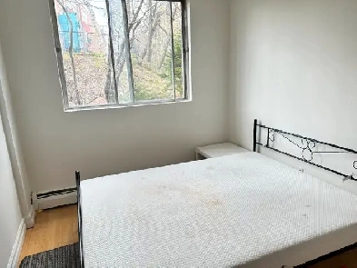 Private room available for vegetarian girl Image# 2