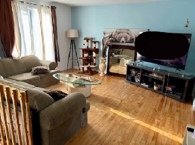 Maison 3 chambre à louer Image# 1