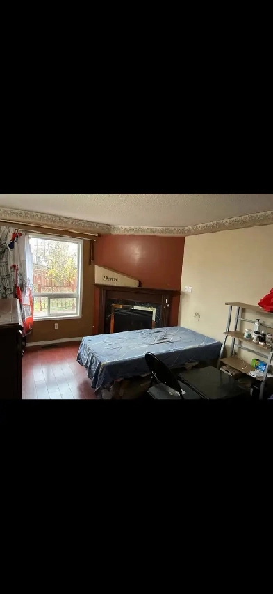 Basement or Rooms for rent Image# 1