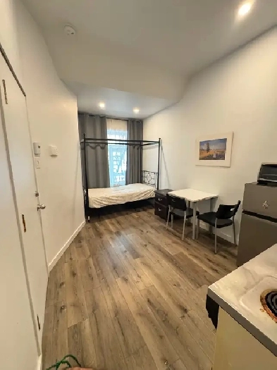 ✨ STUDIO MEUBLÉ – 720 $/mois • Plateau Mont-Royal ✨ Image# 1