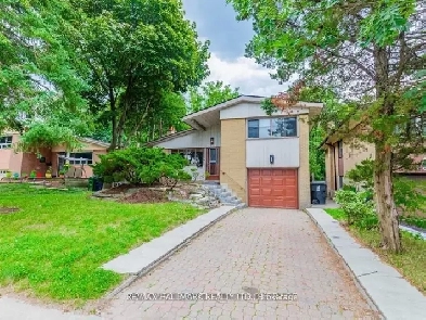Amazing - For Rent In Scarborough - House With Spacious Bedrooms Image# 4