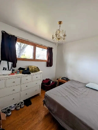 Room in a House for Rent Image# 5