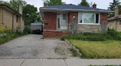 Amazing - For Rent In Scarborough - Spacious Image# 4