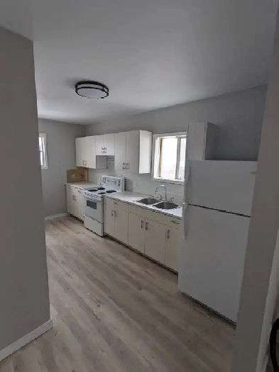 Modern Renovated 2 Bedroom Main Floor Suite for Rent (Elmwood) Image# 1
