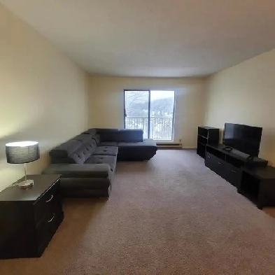 2 Bdrm, 1 Bath Apartment Rossland Image# 2