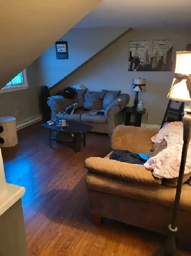 Available June 1st bright and cozy 1 bed 1 bath east Image# 1