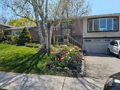 NewMarket First floor level for Rent Image# 9