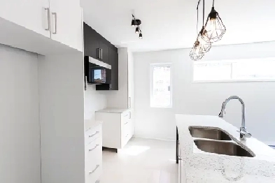 APPARTEMENT 4 1/2 SAINTE AGATHE Image# 2