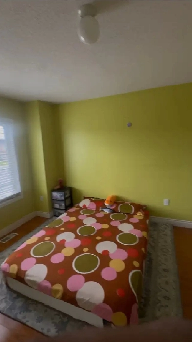 1 bedroom for rent Image# 1