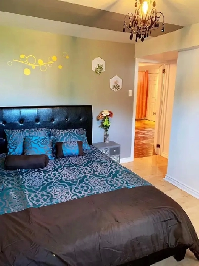 Fully furnished ,  3 1/2 huge kitchen salon, free parking WIFI Image# 1