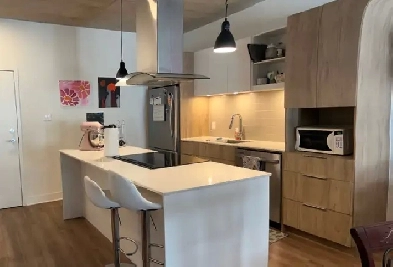 Cessation de bail – Grand et lumineux 3 ½ à Urbanova (Terrebonne Image# 1