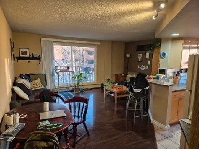 1 Bedroom available in a 2 bedroom apartment - Crescent Heights Image# 4