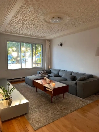 Superbe Unité de Coin – 5 1/2 à Louer, 1er Étage d'un 5 plex Image# 8