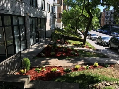 GRAND 3 1/2 RÉNOVE,  CHAUFFAGE-EAU CHAUDE , PRES UNIVERSITÉ MTL Image# 1