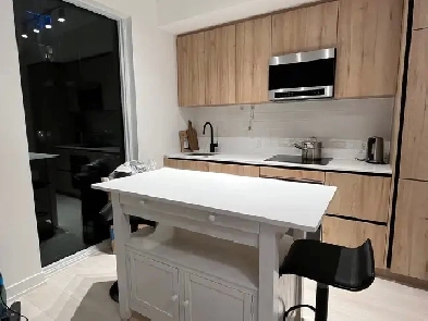 Furnished Toronto Condo for Rent – Short & Long-Term Available! Image# 3