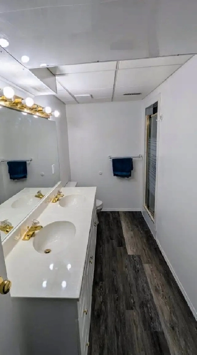 Large one bedroom basement suite Image# 1