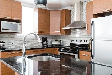 Condo 4 1/2 Rosemont Lumineux et beaucoup de rangements Image# 1