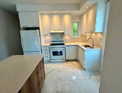 Rosemont Face Parc Molson 5 1/2 renove 3 ieme etage Image# 1